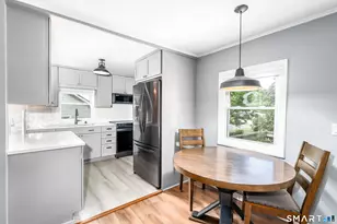 9 Birch Trail, Danbury, CT 06811 - Photo 6