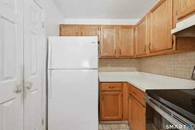 249 Willow Springs, New Milford, CT 06776 - Photo 10