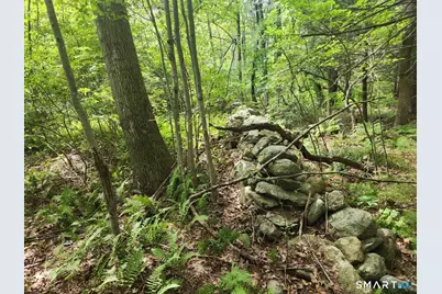 0 Lyon Hill Road, Woodstock Valley, CT 06281 - Photo 6