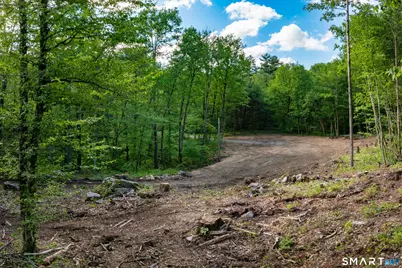 331 & 335 Town Street, Cornwall, CT 06796 - Photo 8