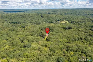 120 Cushman Rd, Ashford, CT 06278 - Photo 40