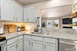 8 Rose Ln, Danbury, CT 06811 - Photo 14