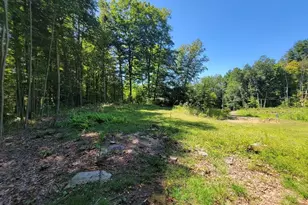48 Village Hill Rd, Willington, CT 06279 - Photo 1