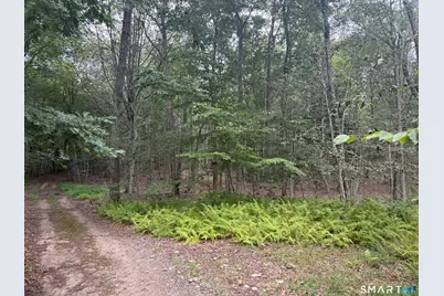 Lot 29 Route 32 Route, Franklin, CT 06254 - Photo 1