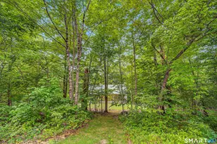 407 N Bear Hill Rd, Chaplin, CT 06235 - Photo 36