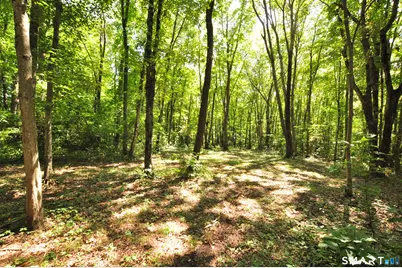 173 Mount Tobe Road, Plymouth, CT 06782 - Photo 2