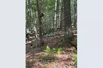 Tater Hill Road, East Haddam, CT 06423 - Photo 10