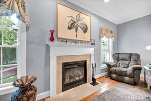 42 Jennifer's Way, Rocky Hill, CT 06067 - Photo 20