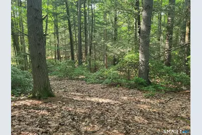 8-2 Tayler Trail, Woodstock Valley, CT 06281 - Photo 4