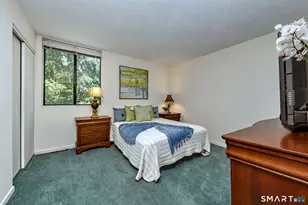 28 Nettleton Dr, Woodbridge, CT 06525 - Photo 24
