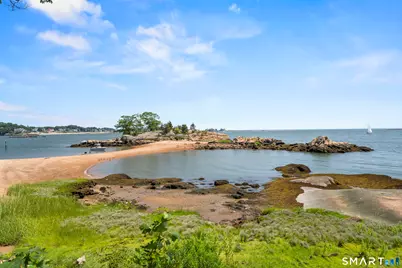 163 Turtle Bay Drive #163, Branford, CT 06405 - Photo 38