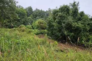 Tbd 169 Rte, Woodstock Valley, CT 06281 - Photo 1