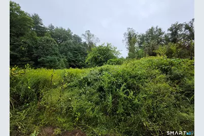 Tbd 169 Route, Woodstock Valley, CT 06281 - Photo 4