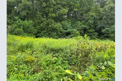 Tbd 169 Route, Woodstock Valley, CT 06281 - Photo 6