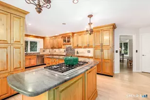 418 Long Mountain Rd, New Milford, CT 06776 - Photo 16