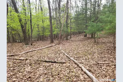 00 Pole Bridge Road, Woodstock Valley, CT 06281 - Photo 10