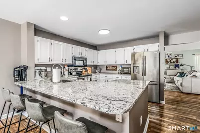 56 Willow Springs #56, New Milford, CT 06776 - Photo 8