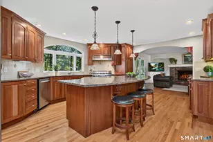 217 Indian Hill Trail, Glastonbury, CT 06033 - Photo 4