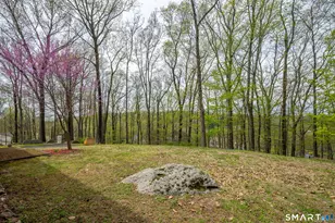 39 Bear Mountain Rd, New Fairfield, CT 06812 - Photo 40