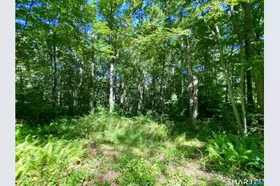 86 Seagraves Road, Coventry, CT 06238 - Photo 4