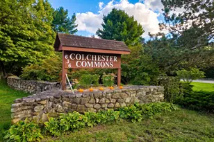 60 Colchester Cmns, Colchester, CT 06415 - Photo 6