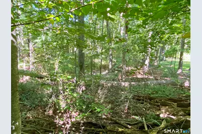 Seagraves Road, Coventry, CT 06238 - Photo 6