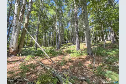49 Stone Road, Killingly, CT 06241 - Photo 10
