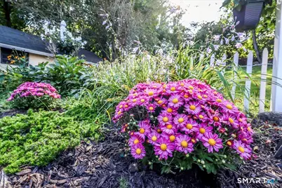 44 Palmer Street, Stamford, CT 06907 - Photo 22