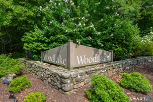 3 Shagbark Ln, Woodbury, CT 06798 - Photo 40