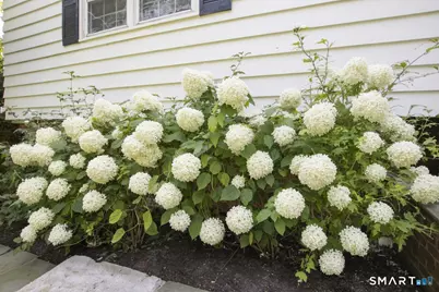 10 Blackberry Lane, Norwalk, CT 06850 - Photo 2