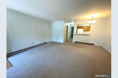 307 Willow Springs #307, New Milford, CT 06776 - Photo 6