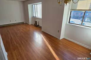 51 Wildman St, Danbury, CT 06810 - Photo 10