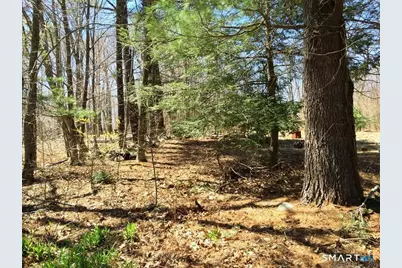 159 Campville Road, Litchfield, CT 06778 - Photo 2