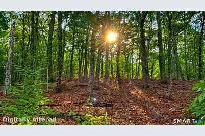 323A Gallup Hill Road, Ledyard, CT 06339 - Photo 40
