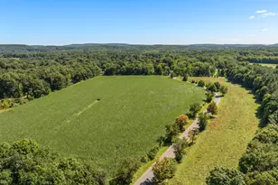 55 Harmony Hill, Granby, CT 06035 - Photo 8
