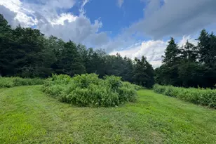 135 Noble Hill Rd, Montville, CT 06370 - Photo 1