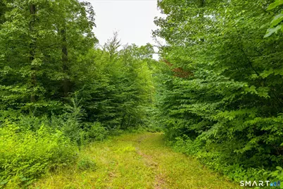 Aplin Hill Lane, Woodstock Valley, CT 06281 - Photo 6
