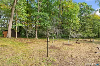 540 Clubhouse Road, Lebanon, CT 06249 - Photo 22