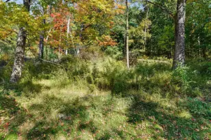 308 State Route 39, New Fairfield, CT 06812 - Photo 30