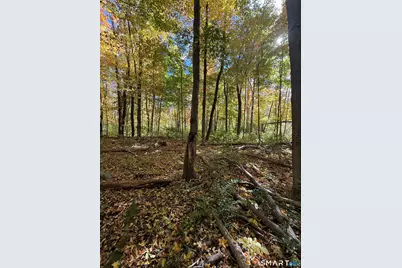 Joray Road, Sharon, CT 06069 - Photo 6