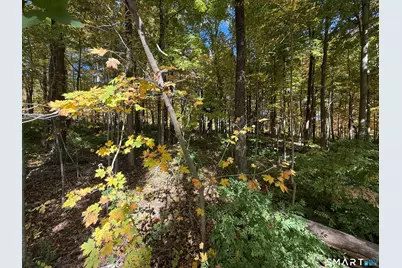 Joray Road, Sharon, CT 06069 - Photo 2