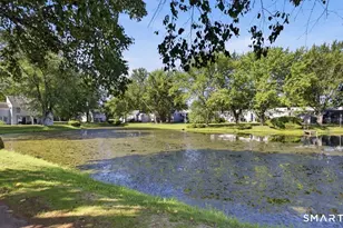 30 Cinnamon Springs, South Windsor, CT 06074 - Photo 16