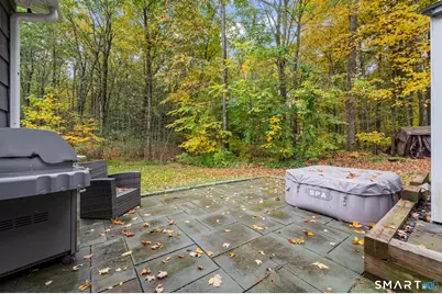 25 Park Lane, Newtown, CT 06470 - Photo 30
