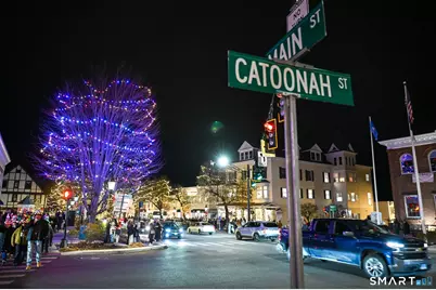 36 Catoonah Street #16, Ridgefield, CT 06877 - Photo 34