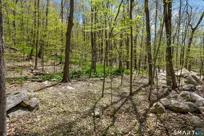 0 Black Rock Turnpike, Redding, CT 06896 - Photo 18