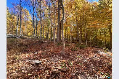 Juniper Drive, New Milford, CT 06776 - Photo 8