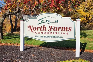 229 Branford Rd, North Branford, CT 06471 - Photo 16