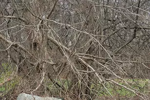 Lot 2 Church St, Hebron, CT 06248 - Photo 1