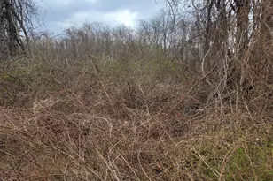 Lot 4 Church St, Hebron, CT 06248 - Photo 1