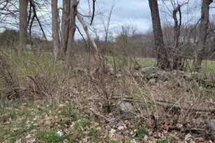 Lot 5 Church St, Hebron, CT 06248 - Photo 1